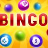 Play Bingo Games Online for Free