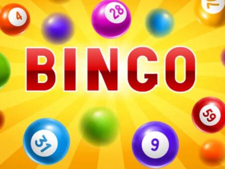 Play Bingo Games Online for Free