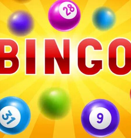 Play Bingo Games Online for Free