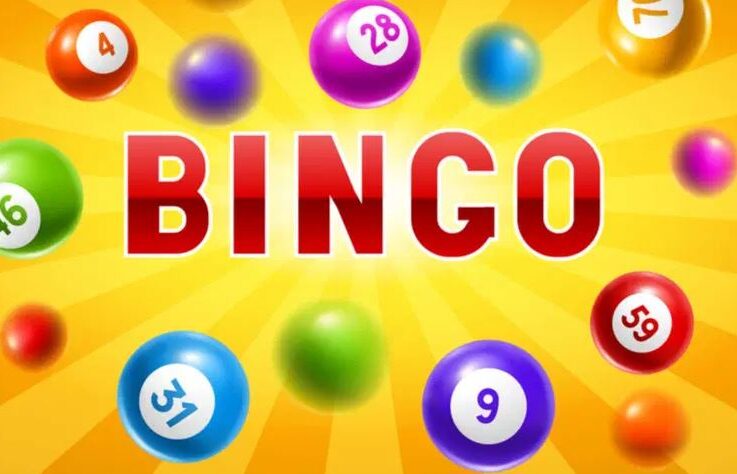 Play Bingo Games Online for Free