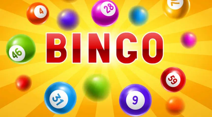 Play Bingo Games Online for Free